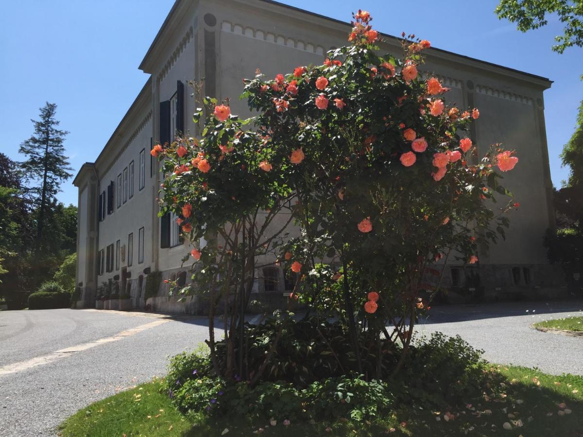 White Flat By Grazrentals With Cool Location & Free Parking Exterior foto